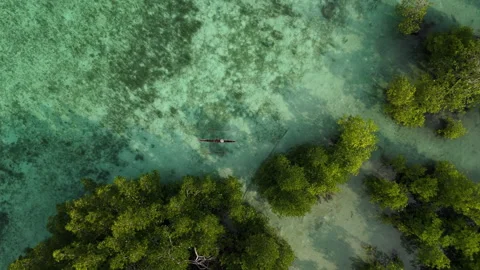 Cinematic Drone Flight Over Remote Sulawesi Palm Coastline 4K UHD 動画素材 337137640