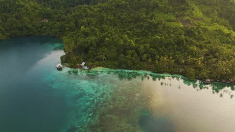 Cinematic Drone Flight Over Remote Sulawesi Palm Coastline 4K UHD 動画素材 337225083