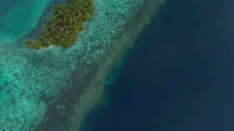 Cinematic Drone Flight Over Remote Sulawesi Palm Coastline 4K UHD 動画素材 337225591
