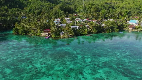 Cinematic Drone Flight Over Remote Sulawesi Palm Coastline 4K UHD 動画素材 337323038