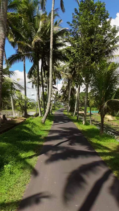 Cinematic Drone Flight Over Scenic Country Road Ubud Bali 4K UHD Stockbeeldmateriaal 340580342
