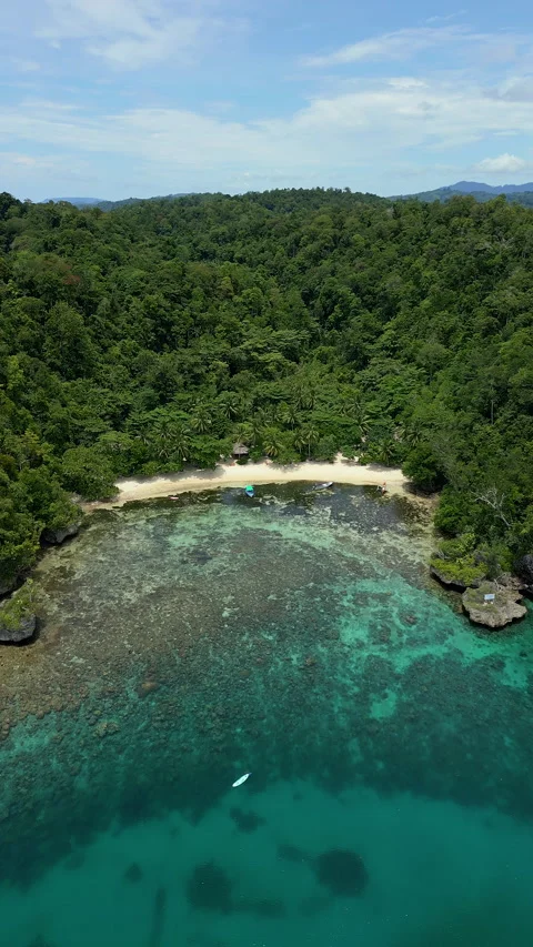 Cinematic Drone Flight Over Tropical Paradise Coastline 4K UHD Video stock 338166646