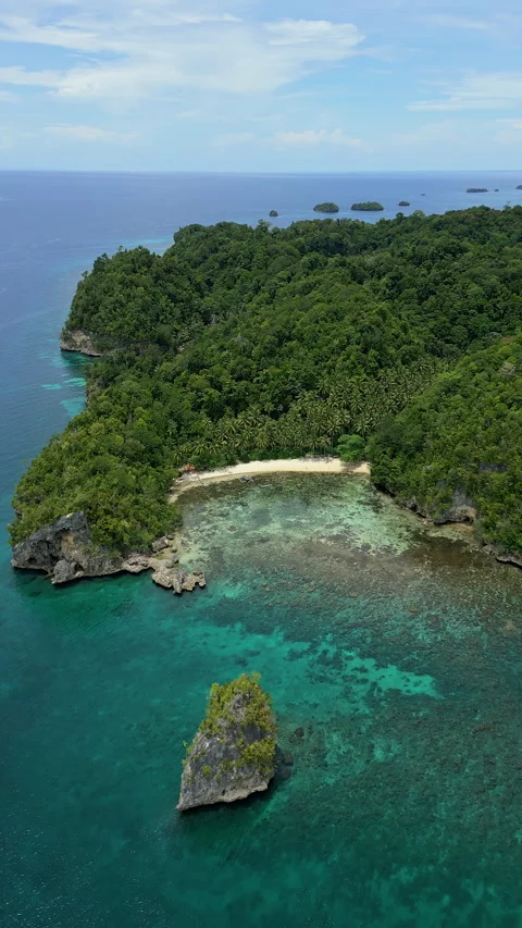 Cinematic Drone Flight Over Tropical Paradise Coastline 4K UHD Stock-Footage 338166904
