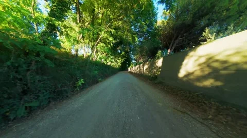 Cinematic drone flight through forest road at golden hour with dust particles 스톡 동영상 314164690