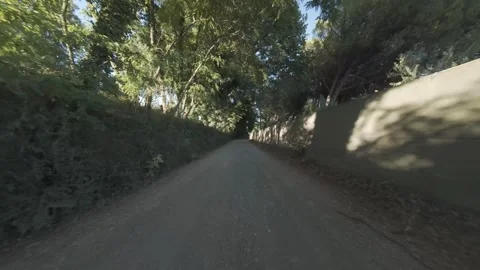 Cinematic drone flight through forest road at golden hour with dust particles 스톡 동영상 314164691