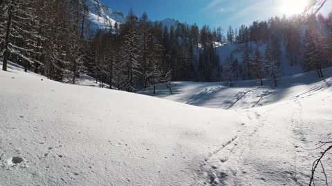 Cinematic Drone Flight Through Snowy Austrian Alps Forest – Winter 4K 動画素材 326059997