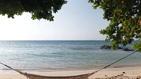 Cinematic Drone Flight Through Tropical Trees Towards Turquoise Coastal Waters Stock Footage 342314440