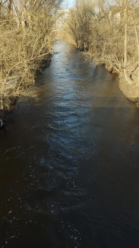 Cinematic drone flying over narrow river between trees, sunny day Stock Footage 333472007