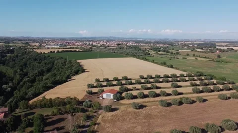 Cinematic drone footage: Up and down over a field Stock Footage