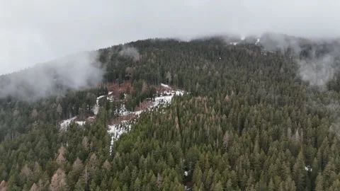 Cinematic Drone Forward Flight Over Misty Green Forest on a Rainy Day wi Stock Footage 331597685