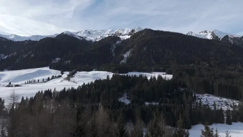 Cinematic Drone Forward Flight Over Winter Forest Between Snow-Covered M Stock Footage 331941702