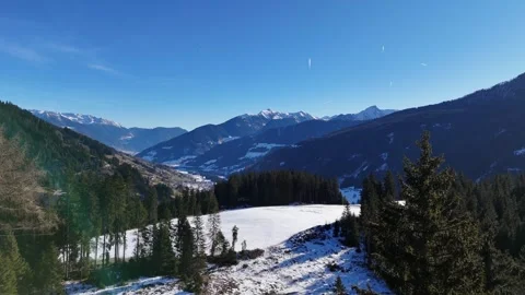 Cinematic Drone Forward Flight Through Pine Forest Revealing Snowy Meado Stock Footage 331866011