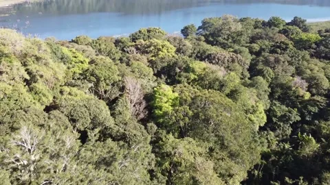 Cinematic drone lake view Stock Footage 207943895