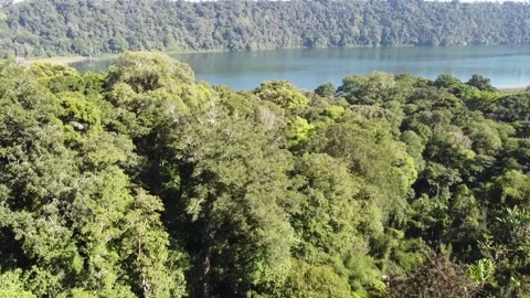 Cinematic drone lake view Stock Footage 207944043
