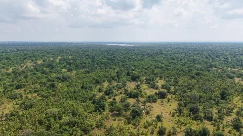 Cinematic Drone Left Pan Over Expansive Green Woodland and Scrubland Landscape Stock Footage 341770627