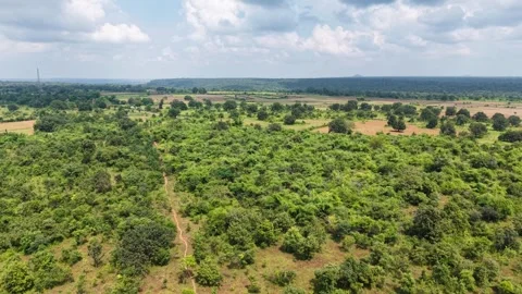 Cinematic-drone-left-pan-over-green-scrubland-farmland-and-woodland Stock Footage 341770713