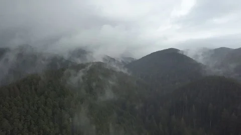 Cinematic Drone: Misty Morning in the Oregon Mountains Stock Footage