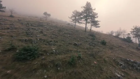 Cinematic drone movement over a misty hillside with evergreen trees at dusk Stock Footage 328421353