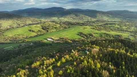Cinematic Drone Orbit Over Fresh Spring Forest Stock Footage 335538798