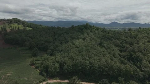 Cinematic Drone Over Dense Tropical Forest Canopy and Curved Rural Road, No.. Stock-Footage 337600764