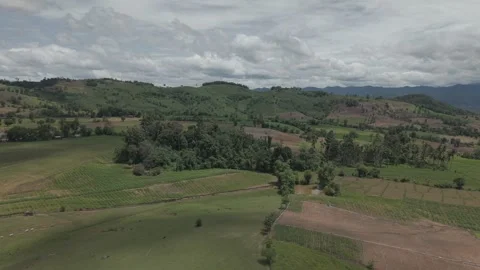 Cinematic Drone Over Green Cattle Farm With Wooden Fence, Forest Valley and.. Stock Footage 337531364