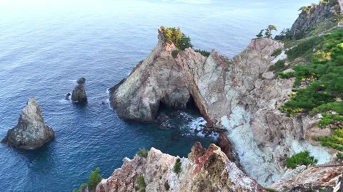 Cinematic drone pan shot through pine trees to Koganezaki cliffs│4K Stock Footage 326081884