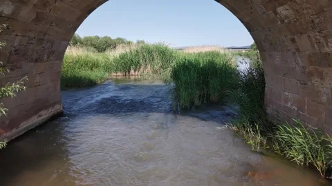 Cinematic Drone Pullback Under Historic Stone Bridge Over River Wetlands Vídeo Stock 336333988