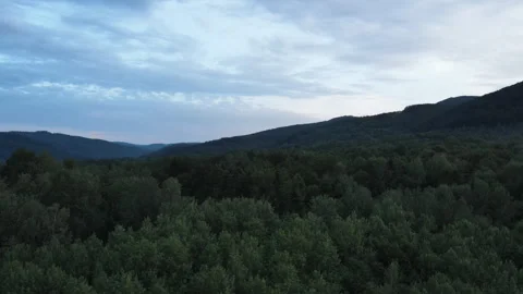 Cinematic drone shot of blue cloudy sky and trees cover wild hills Stock Footage 249192861