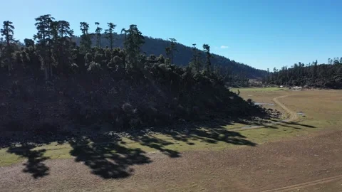 Cinematic Drone Shot of Cedar Trees and Open Grassland in Middle Atlas Morocco Stock Footage 335356283