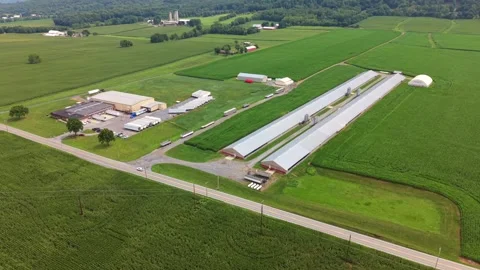 Cinematic drone shot flying over large poultry barns and sprawling green farm Video stock 343891891