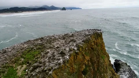 A cinematic drone shot fly's low over the isolated "Bird Rocks" Sea spires Stock Footage 341064790