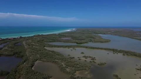 Cinematic drone shot of mangrove patterns and turquoise sea in Holbox, Mexico Stock Footage 331519931