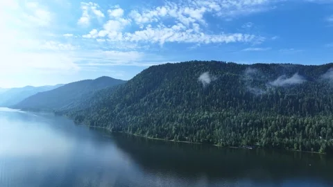 Cinematic Drone Shot Of A River With Its Forest Banks Stock Footage 259699732