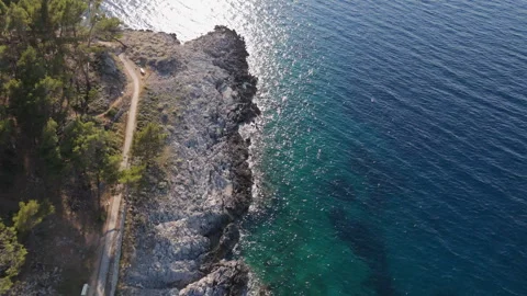 Cinematic Drone Shot – Winding Path Through Forest to the Sea Stock Footage 313825904