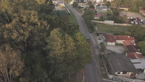 Cinematic drone tracking shot of logging truck driving beside forest and re.. Vídeos de archivo 335526614