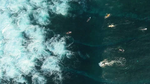 Cinematic Drone Tracking Shot Surfer Floating Uluwatu Coast 4K Vidéo 341005208