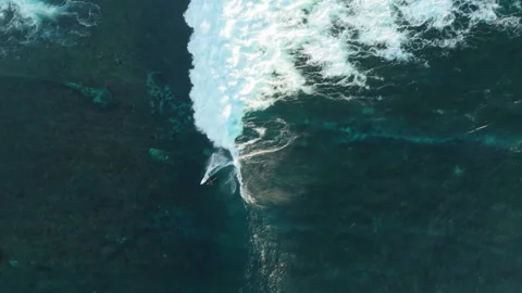 Cinematic Drone Tracking Shot Surfer Floating Uluwatu Coast 4K Vidéo 341005848