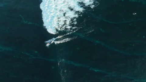 Cinematic Drone Tracking Shot Surfer Floating Uluwatu Coast 4K Vidéo 341007242