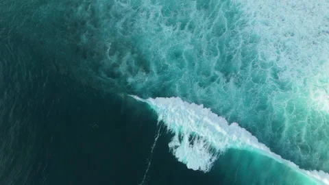 Cinematic Drone Tracking Shot Surfer Floating Uluwatu Coast 4K Vidéo 341475709