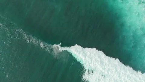Cinematic Drone Tracking Shot Surfer Floating Uluwatu Coast 4K Vidéo 341476966