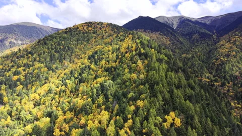 Cinematic Drone View of Autumn, Snow, and Cloud Sea at Sejila Mountain, Nyingchi Stock-Footage 340063589