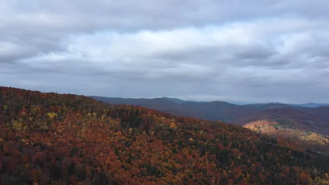 Cinematic drone view of cloudy sky and trees cover autumn wild hills Stock Footage 292260035