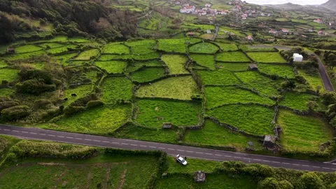 Cinematic Drone View Of Emerald Patchwork Farmland On Flores Island Azores 動画素材 337698258