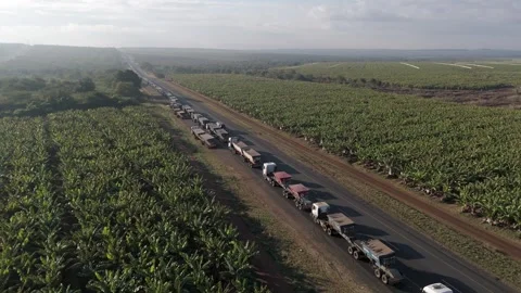 Cinematic drone view of a huge number of cargo trucks stuck in a long Stock Footage 278449049