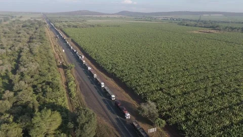 Cinematic drone view of a large number of cargo trucks stuck in a long Stock Footage 278449031