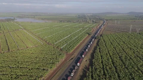 Cinematic drone view of a large number of cargo trucks stuck in a long Stock Footage 278449065