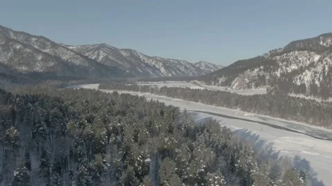 Cinematic drone view on a pine forest, mountains and a small lake Stock Footage 221390680