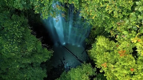 Cinematic Drone View of a Powerful Waterfall in a Green Wilderness Stock Footage 278119776