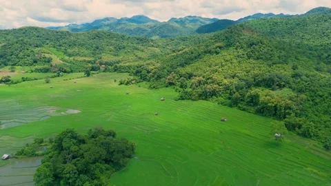 Cinematic Drone View of Rice Fields and Mountains near Kuang Si Waterfall, L Stock Footage 312752385