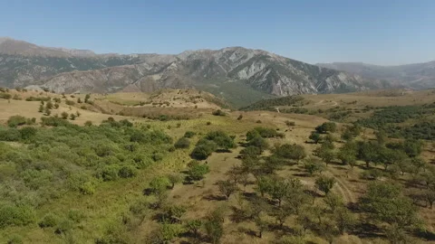Cinematic Drone View of Rolling Grasslands and Mountains Video stock 317773283
